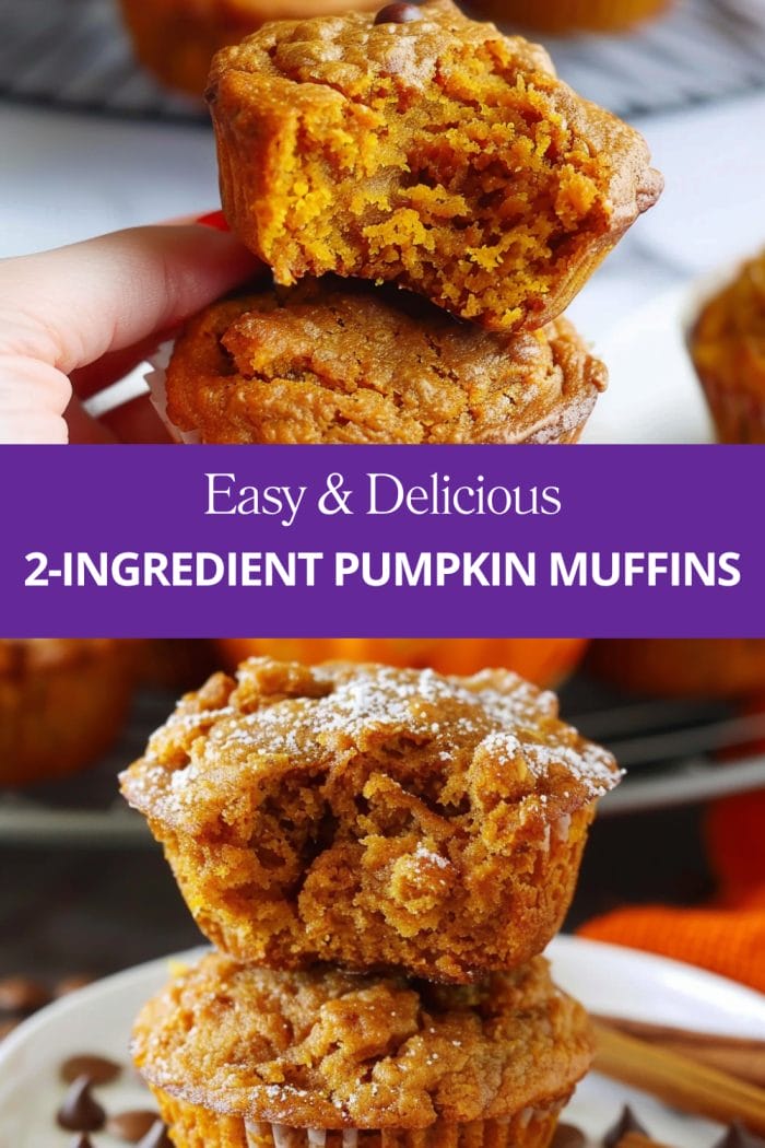 2-INGREDIENT PUMPKIN MUFFINS