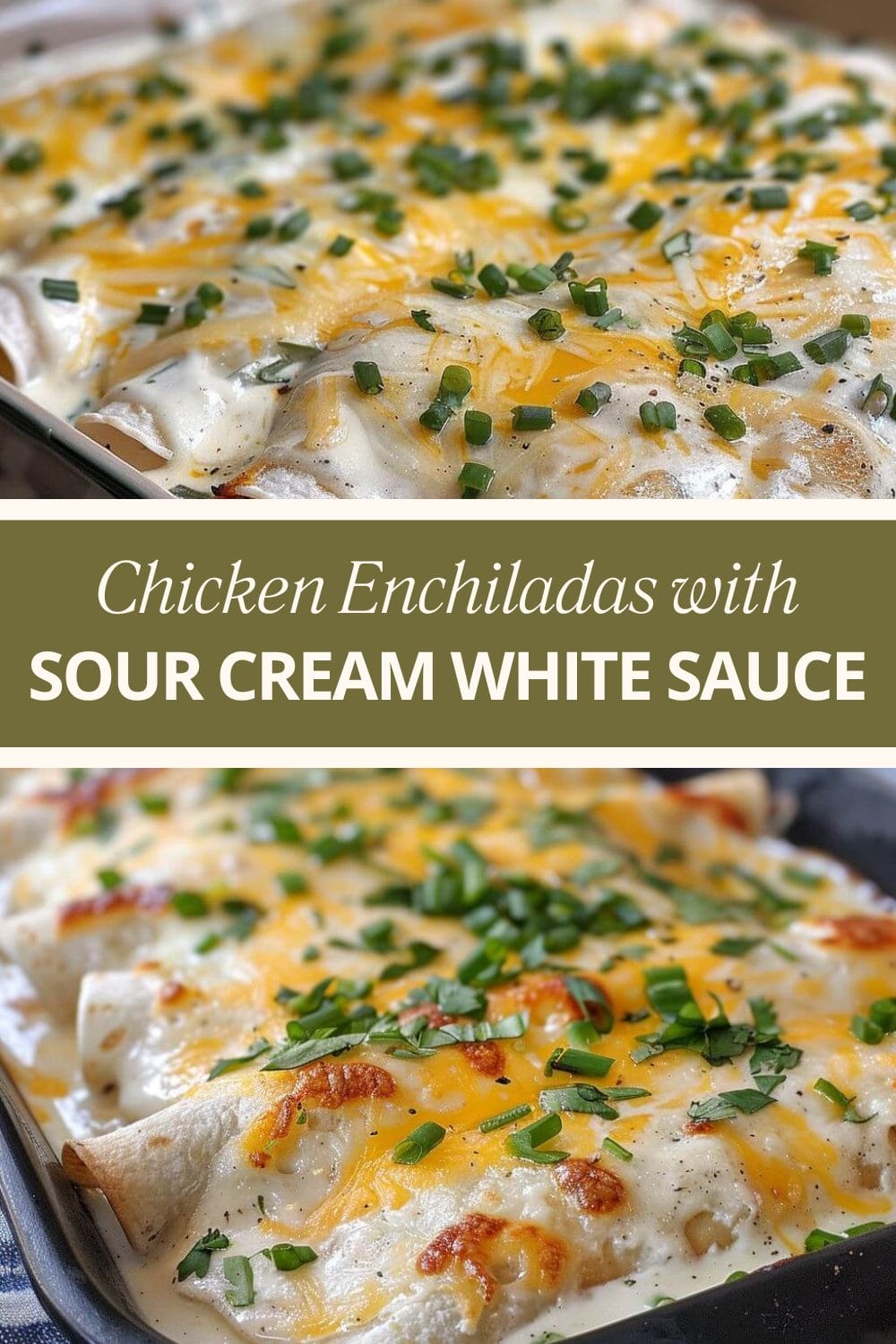 Chicken Enchiladas with Sour Cream White Sauce