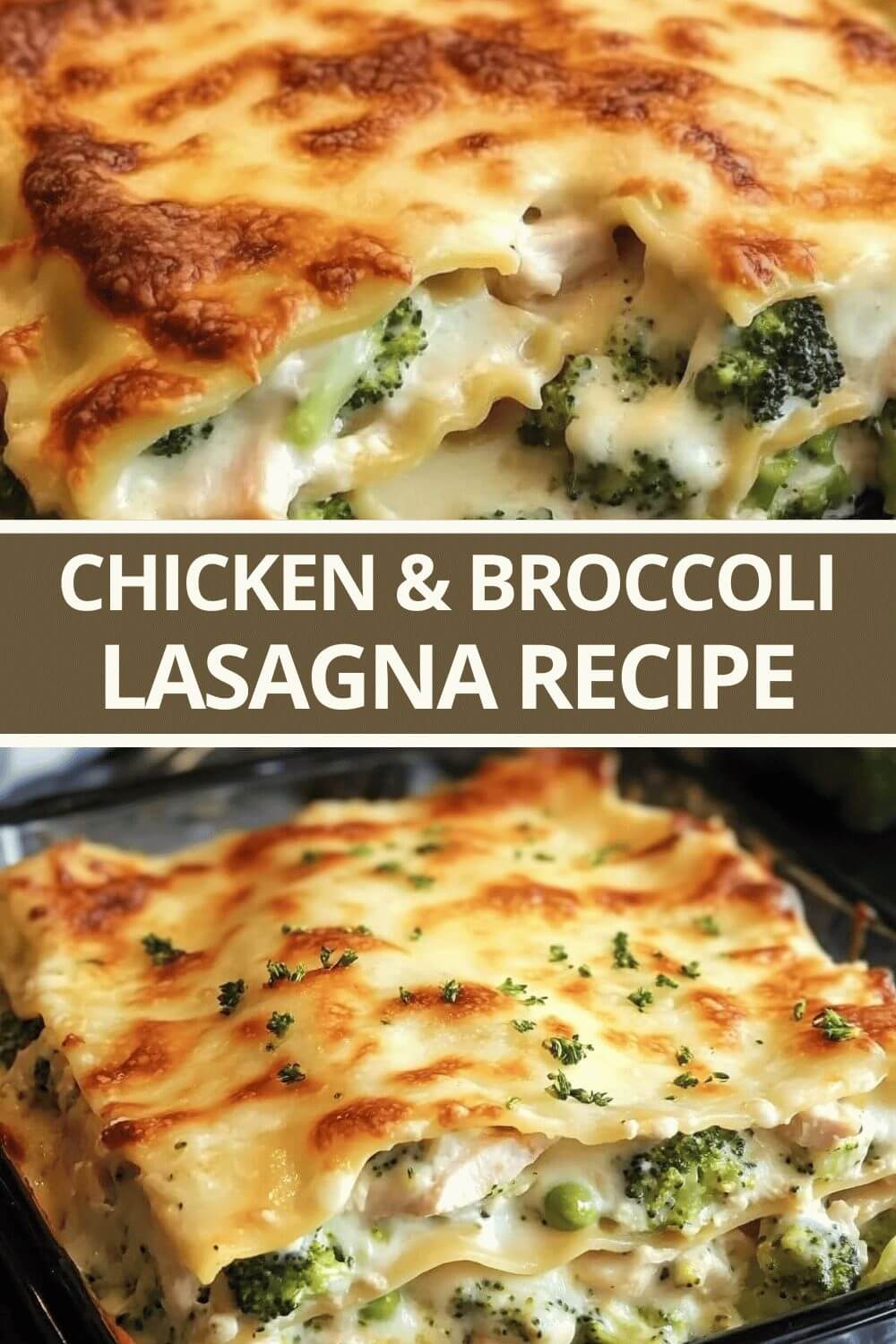 Chicken and Broccoli Lasagna Recipe