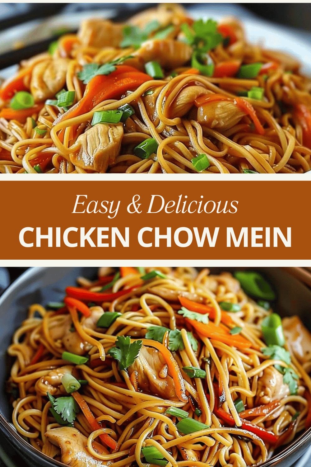 Chicken Chow Mein with the Best Chow Mein Sauce