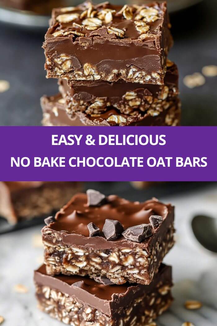 EASY No Bake Chocolate Oat Bars