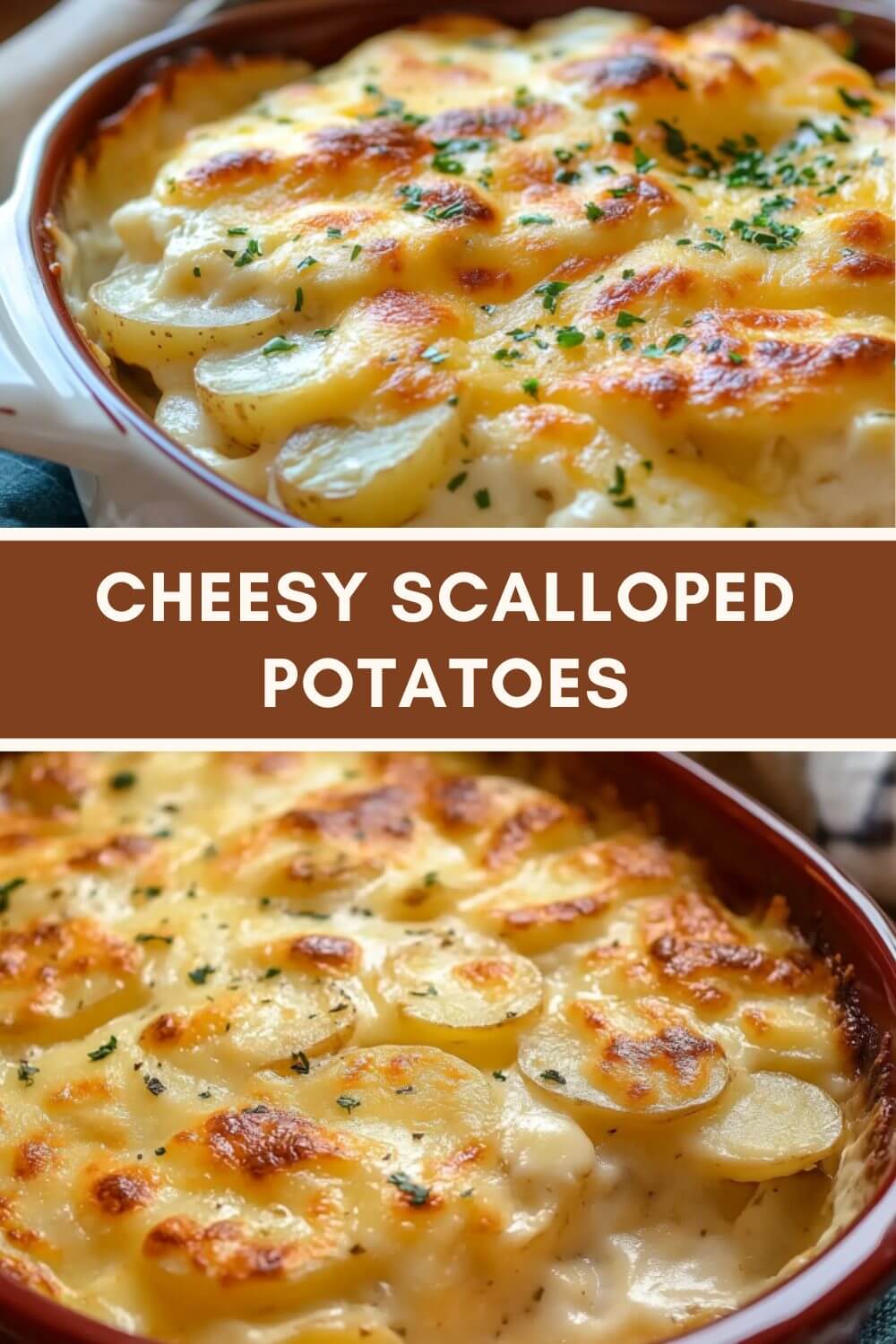 CHEESY SCALLOPED POTATOES