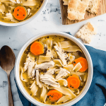 Instant Pot Chicken Noodle Soup
