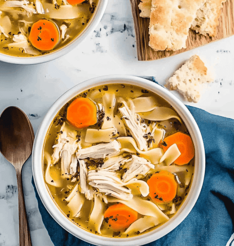 Instant Pot Chicken Noodle Soup