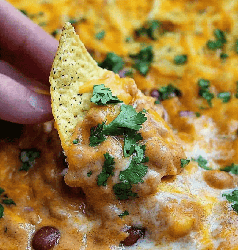 Refried Bean Dip