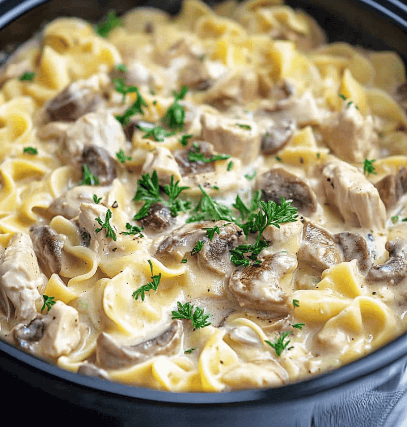 Slow Cooker Chicken Stroganoff