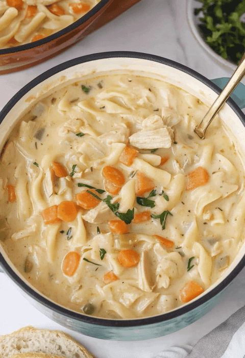 Turkey Noodle Soup