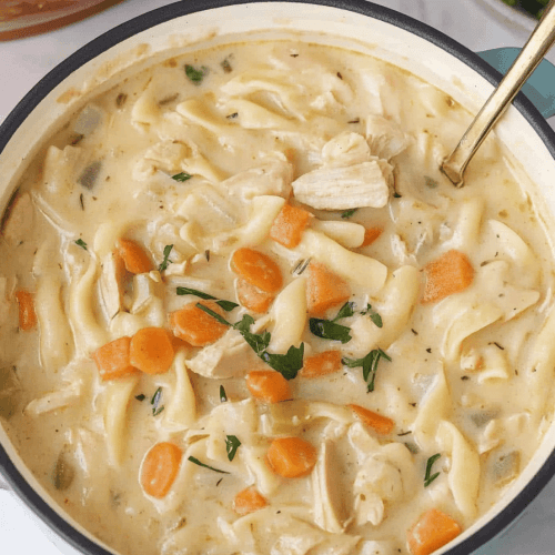 Turkey Noodle Soup