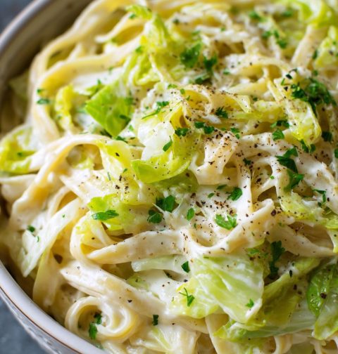 Cabbage Alfredo Recipe
